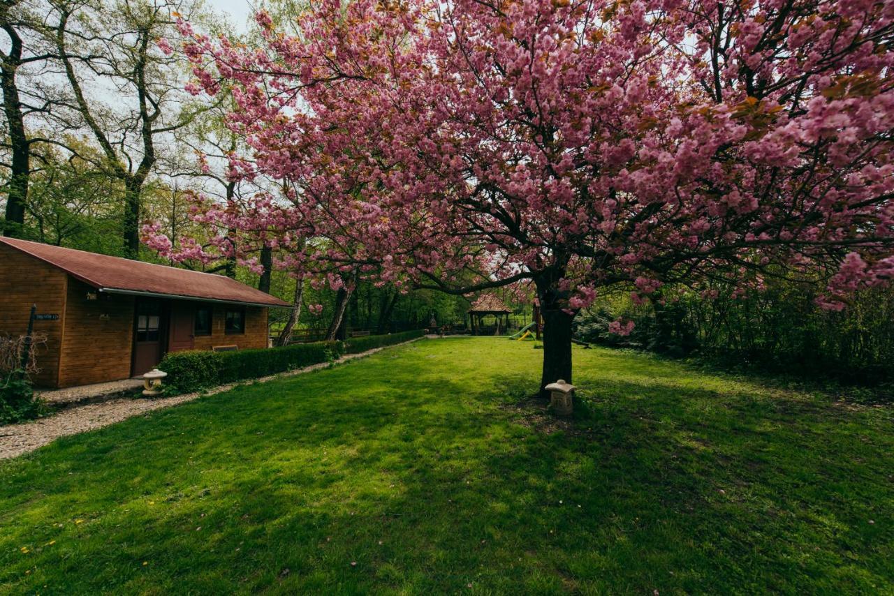 Shubu Zen Vendégház Szilvásvárad Exteriér fotografie