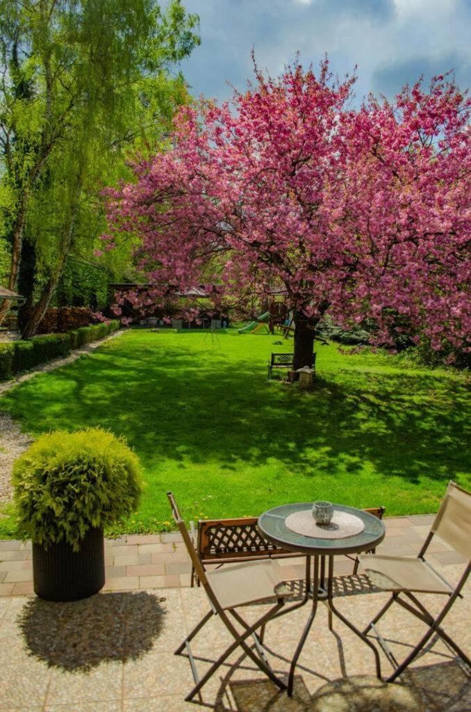 Shubu Zen Vendégház Szilvásvárad Exteriér fotografie