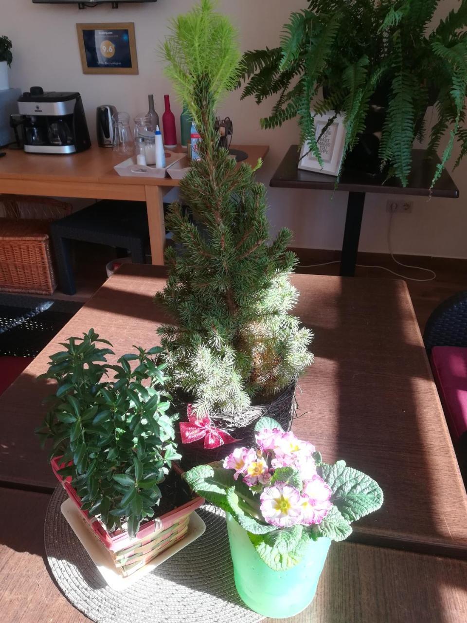 Shubu Zen Vendégház Szilvásvárad Exteriér fotografie